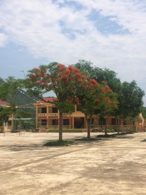 ĐẨY MẠNH CÔNG TÁC ÔN THI HỌC SINH GIỎI CÁC MÔN VĂN HÓA VÀ MÁY TÍNH CẦM TAY KHỐI 10, KHỐI 11.