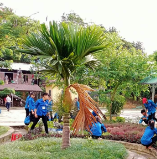 Các hoạt động của Đoàn thanh niên diễn ra hàng ngày, hàng tuần